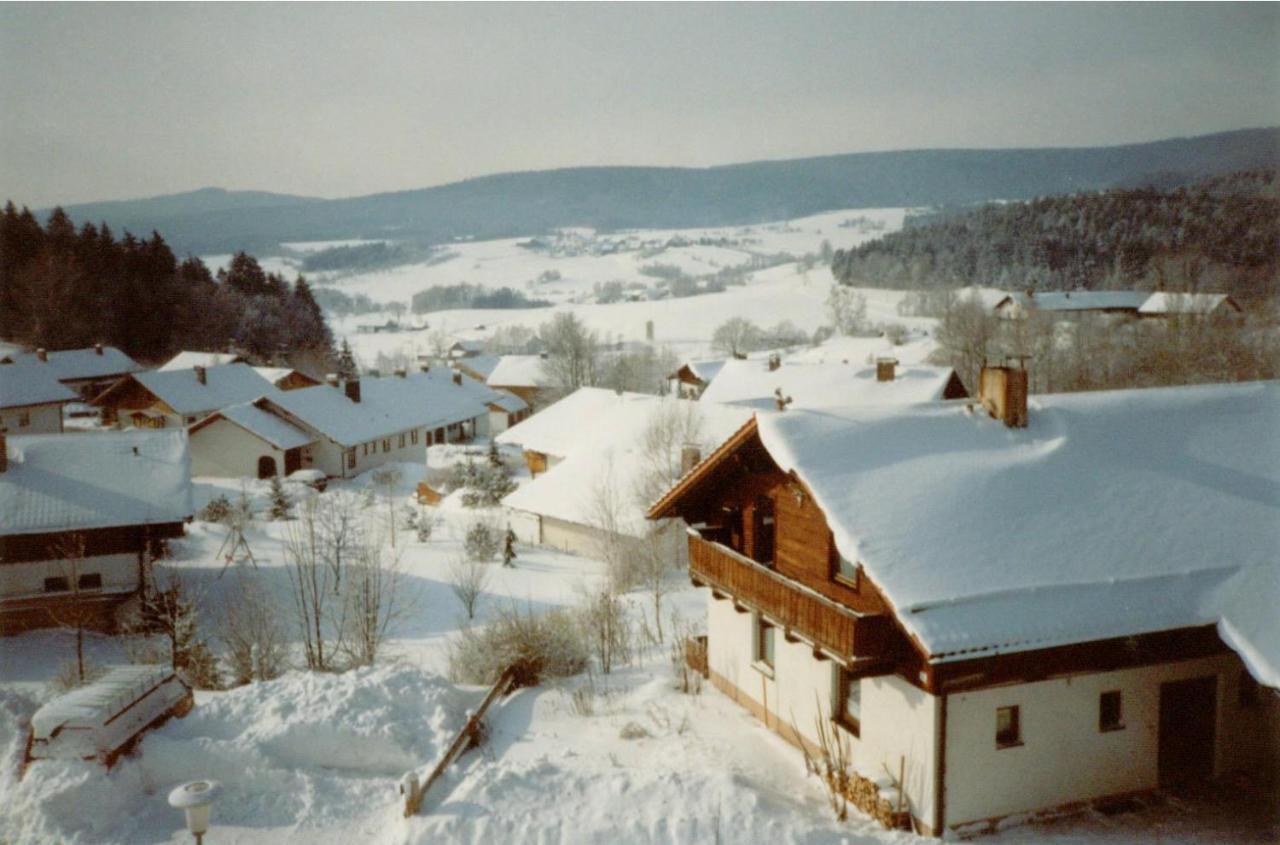 Fewo Mit Malerischem Bergblick Im Bischofsmais Exteriér fotografie