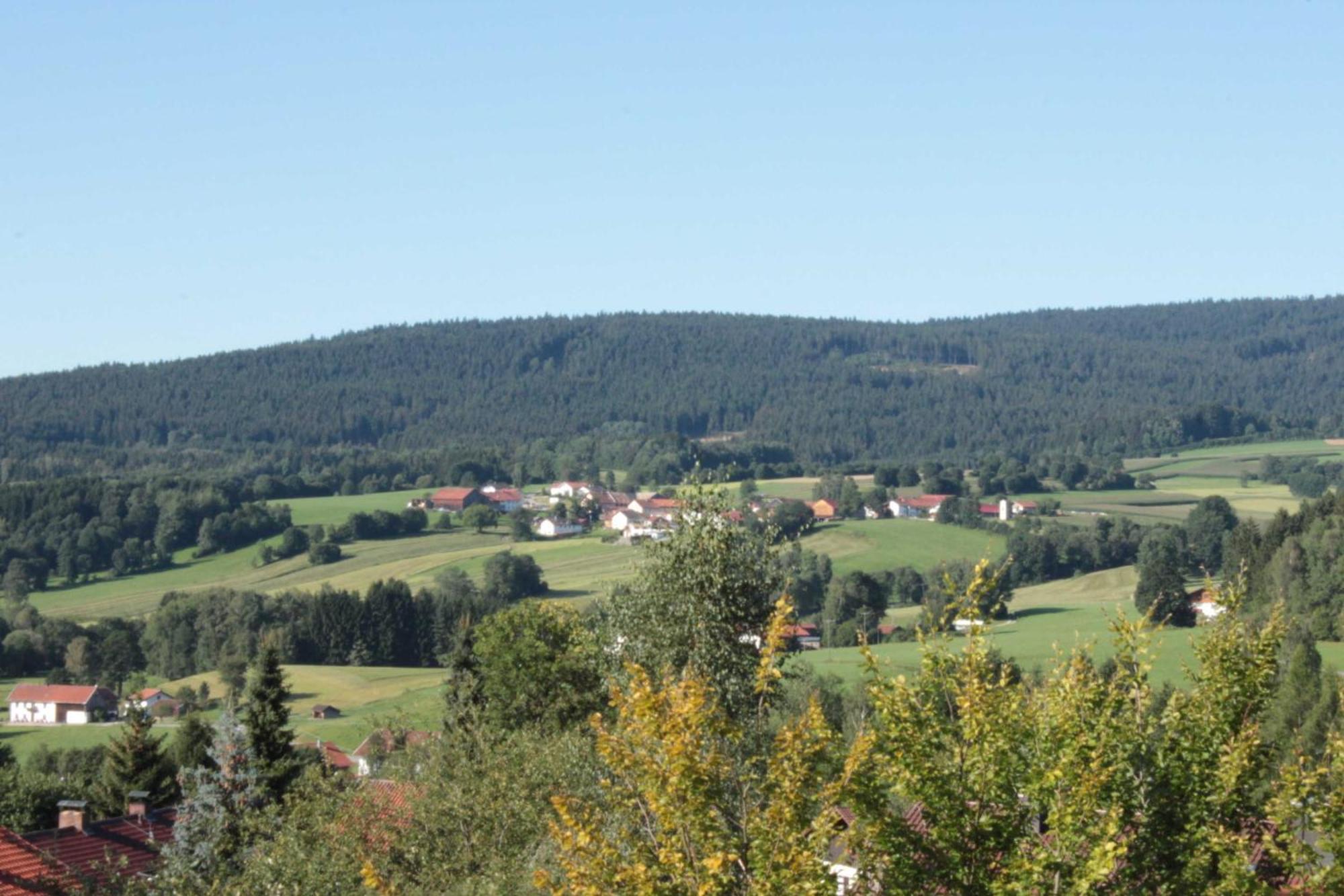 Fewo Mit Malerischem Bergblick Im Bischofsmais Exteriér fotografie